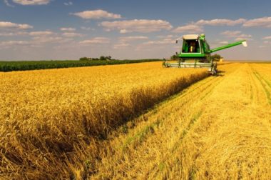 Україна збільшила на 15% експорт аграрної продукції до ЄС
